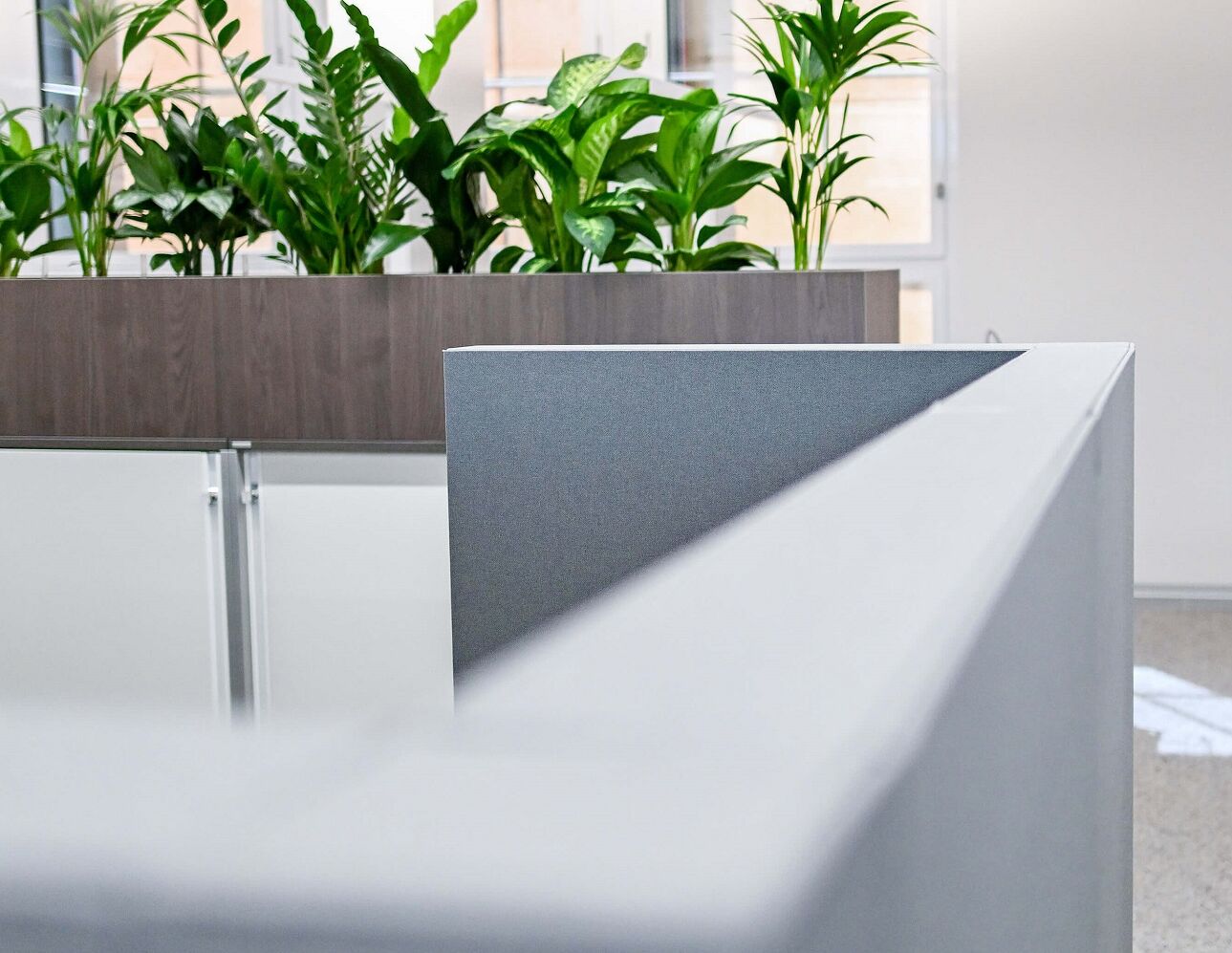 Geballte Vielfalt im neuen Stadtteil